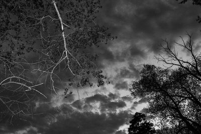 Low angle view of bare tree against sky