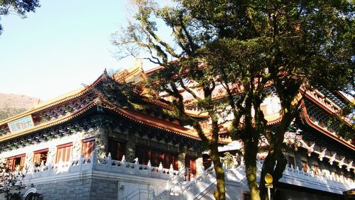 Low angle view of building