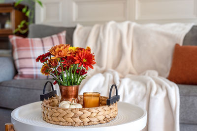 Potted plant on table at home