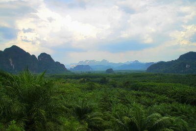 Scenic view of field against sky