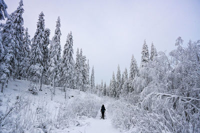 Woman on snow covered land against sky