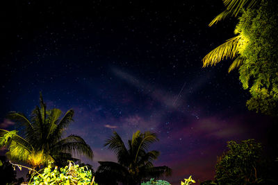 Low angle view of palm trees against sky at night