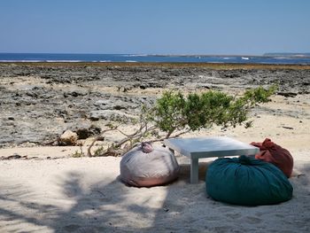 Rear view of man relaxing on beach