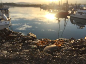 Surface level of rocks at beach against sky during sunset