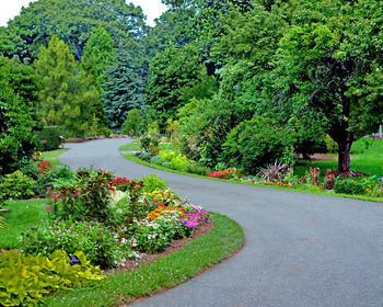 Scenic view of street amidst trees and plants