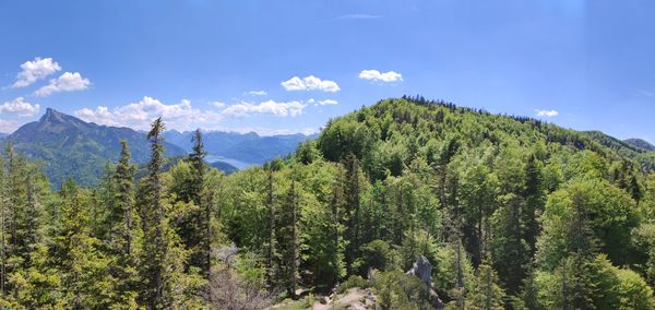 Panoramic view of trees and mountains against sky
