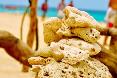 Close-up of plant against blurred background