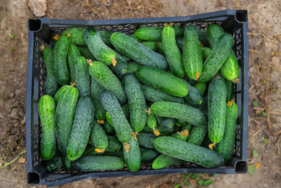 High angle view of vegetables on table