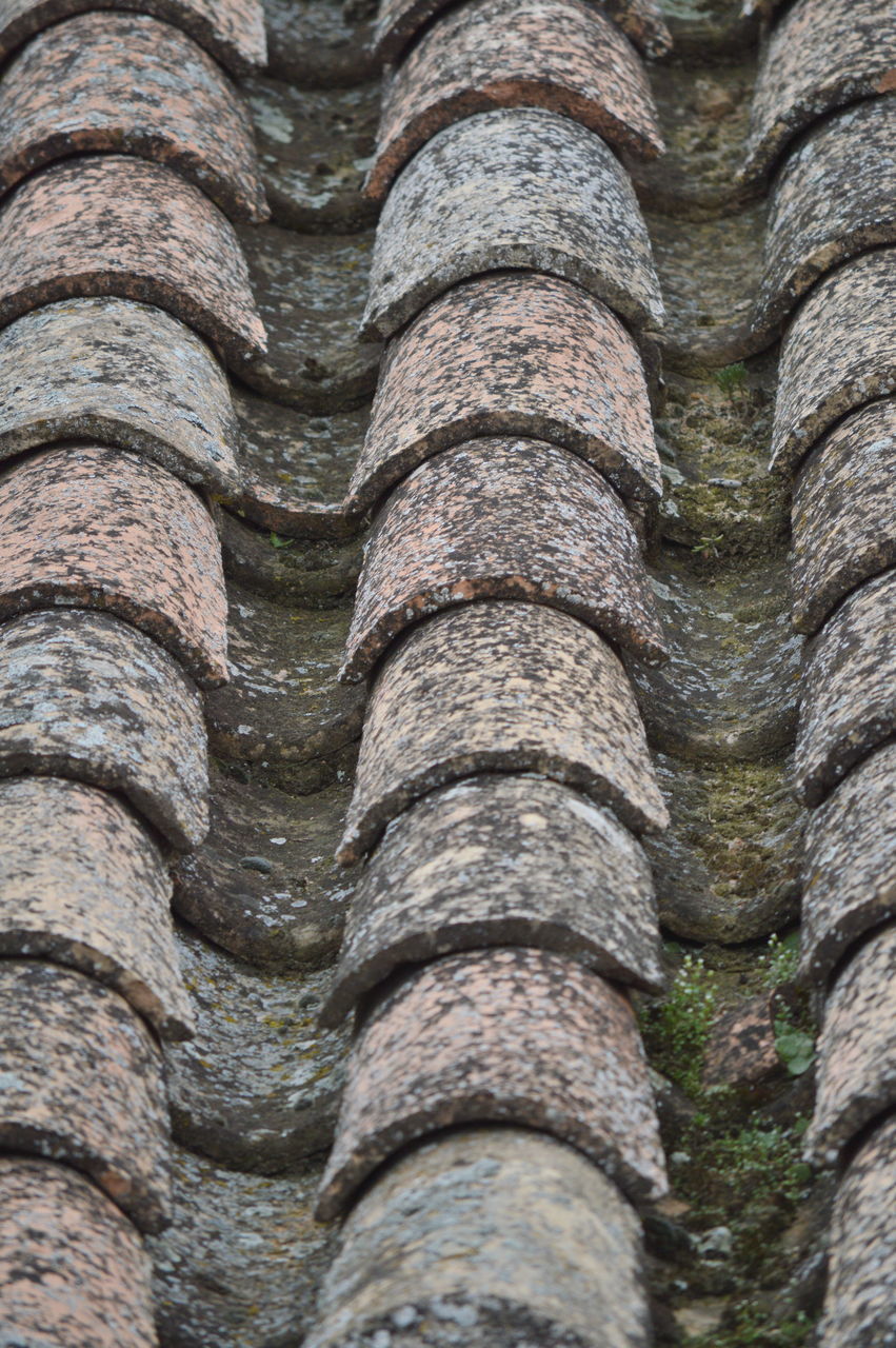 FULL FRAME SHOT OF TREE BARK