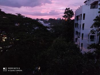 Trees and buildings against sky at night