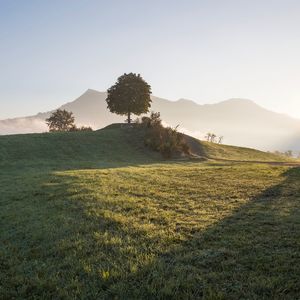 Scenic view of field against clear sky