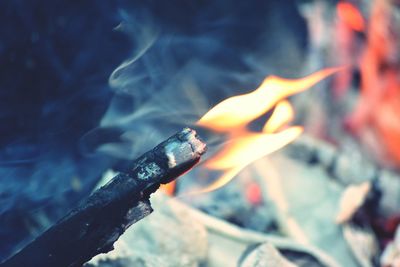 Close-up of burning firewood