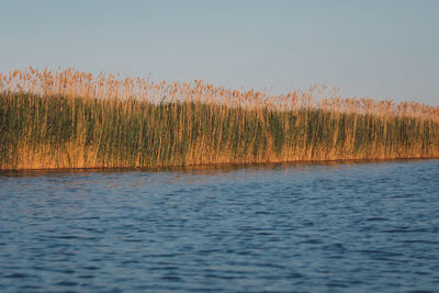 Scenic view of lake against clear sky