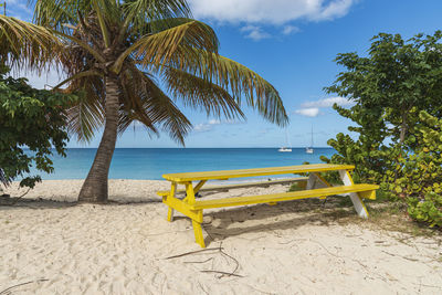 Palm trees on beach against sky