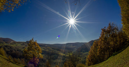 nature
