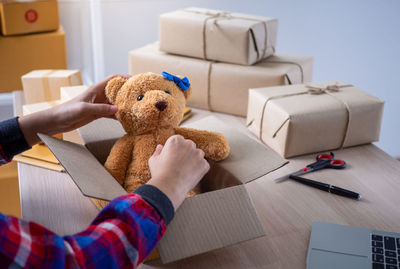 Close-up of hand holding stuffed toy in box