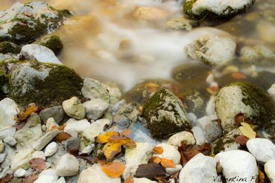 Close-up of stones on rocks