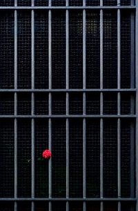 Close-up of red wall