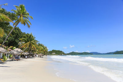 Palm trees on beach against clear blue sky