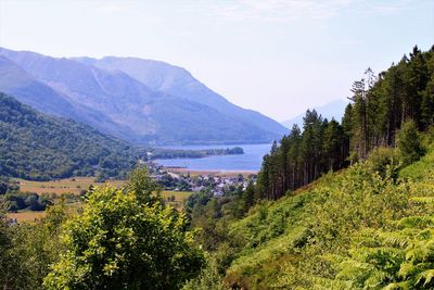 mountain