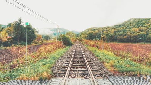 Railway tracks amidst trees against clear sky