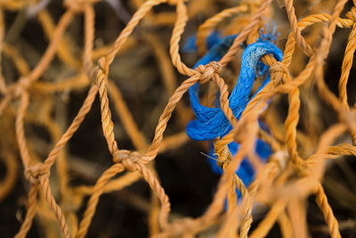 Close-up of rope against fence