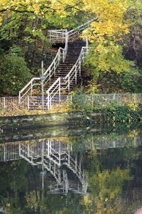 View of stairs  over lake in forest