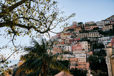 Buildings in city