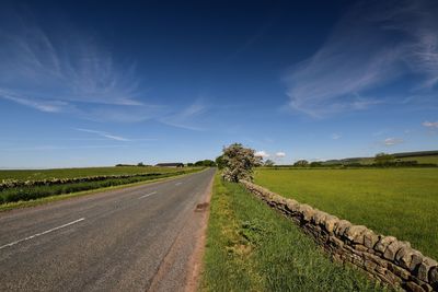 Road amidst agricultural field against sky