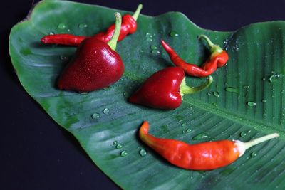 High angle view of red chili peppers on water