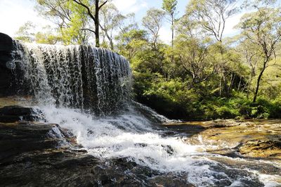 Scenic view of waterfall in forest