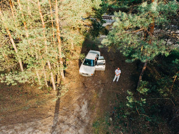 High angle view of people on road amidst trees in forest