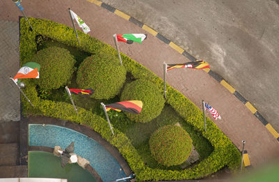 High angle view of leaves on street in city