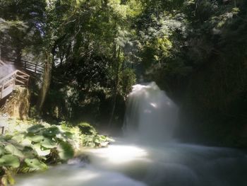 Scenic view of waterfall