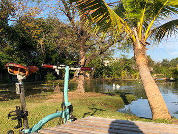 Scenic view of park by lake