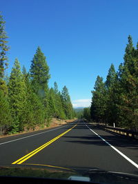 Empty road with trees in background