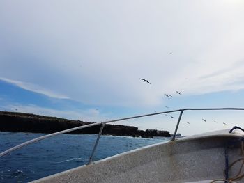 Low angle view of birds flying against sky