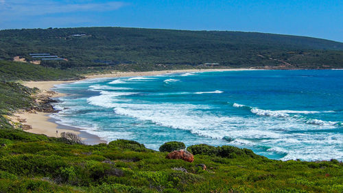 High angle view of beach against blue sky