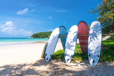 People on beach against blue sky