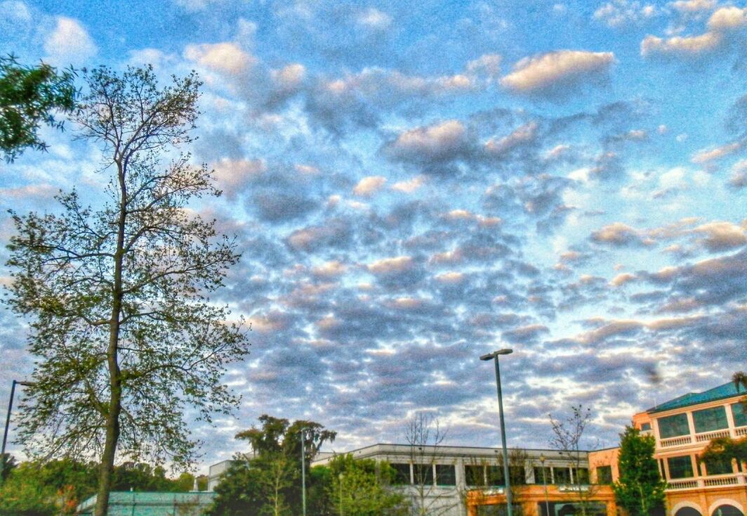 sky, cloud - sky, cloudy, tree, built structure, building exterior, architecture, weather, cloud, storm cloud, city, overcast, nature, street light, outdoors, transportation, no people, beauty in nature, day, road