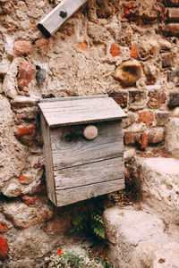 View of an animal on wall