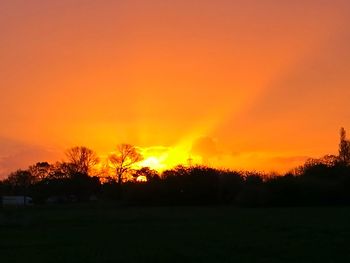 Silhouette trees on field against orange sky
