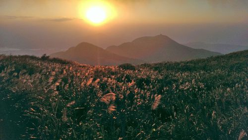 Scenic view of landscape against sky during sunset