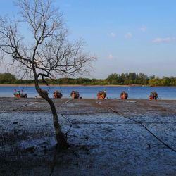 Scenic view of beach against sky