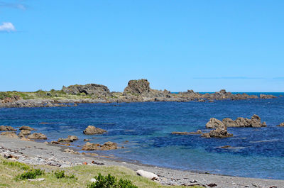 Scenic view of sea against clear blue sky