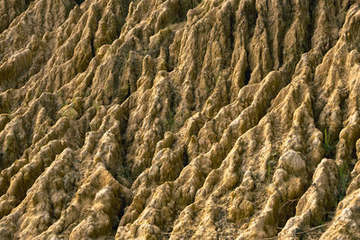 A pile of soil that has been eroded into a large rut when it rains.