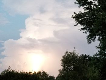 Low angle view of silhouette trees against sky