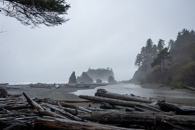 Ruby beach, olympic national park, washington state, usa