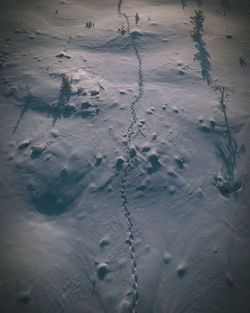 High angle view of footprints on snow covered land