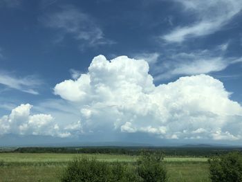 Scenic view of field against sky